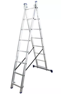Two-section ladder